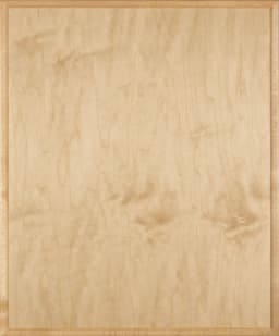 StarMark Sawyer door, shown in Natural on Maple
